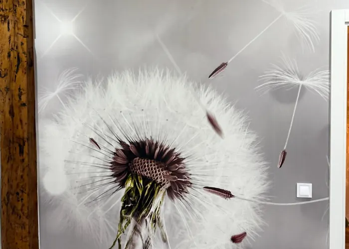 Bibelot Apartamento *